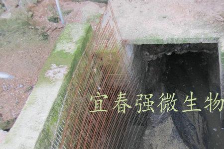 水泡粪猪舍的优缺点
