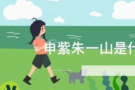 朱一山申紫最后的结局