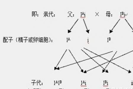 妈妈生的两个孩子是直系血缘么