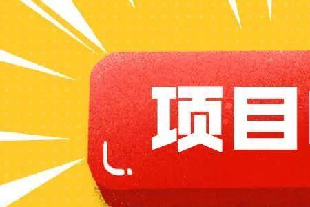 申报依据是什么