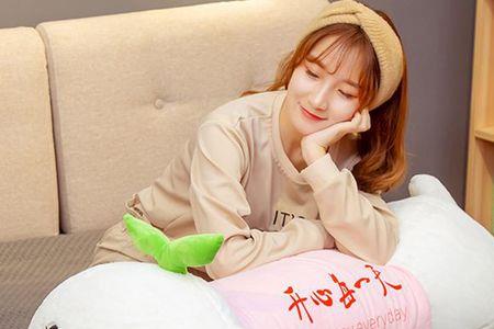 兔子喜欢在床上玩吗