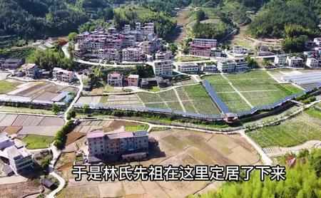 2020年林姓出生人数