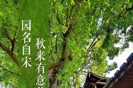 朱紫自动保存怎么关
