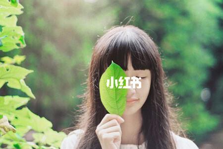 萧峥陈虹小说最新结局