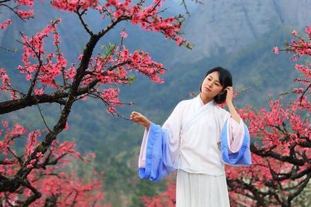 春风轻搂桃花腰全诗解释