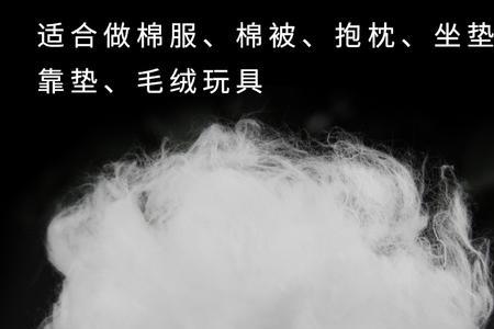 丽丝棉是什么