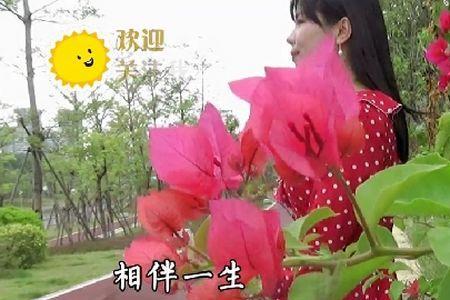 一生相爱一生相伴原唱