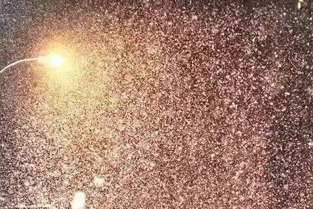 下雨的时候会下雪吗