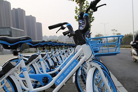 尼基塔用的什么单车