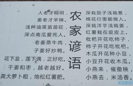 急用关于实践的成语谢谢10个左右