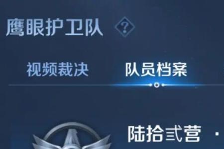 王者荣耀鹰眼护卫队为啥要退