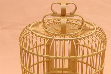 养八哥用大笼还是小笼