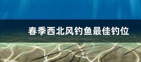 夏天4级西北风适合钓鱼吗