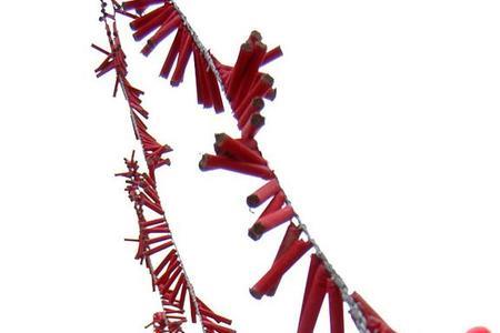 一串串花炮类似的词语
