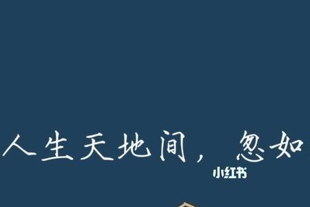 一眼被惊艳的高级词语