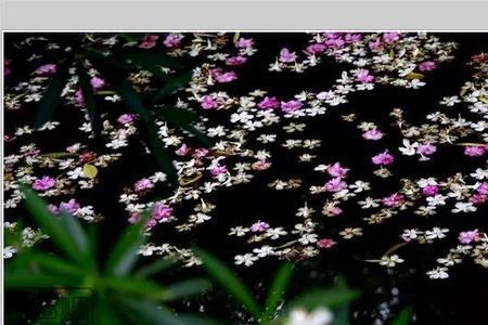 花落花开大结局剧情介绍
