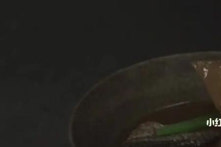 我的小森林大结局