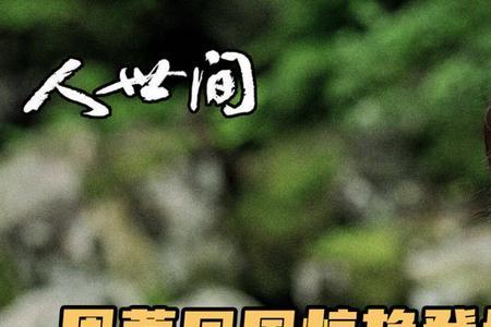 蔡晓光与周荣求婚第几集