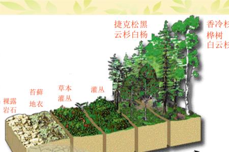 植物环境和生态环境是什么