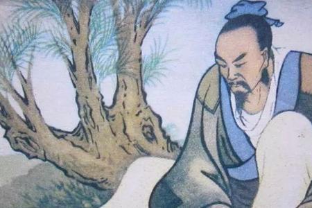 实用派的惠子还是逍遥派的庄子
