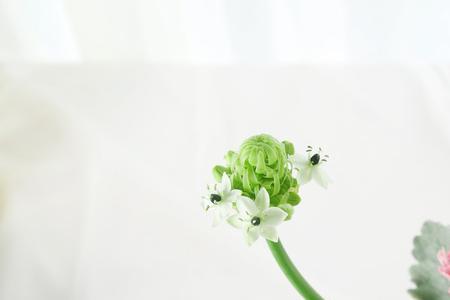 形容插花的词语