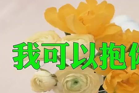 我要紧紧的抱着你哭是什么歌