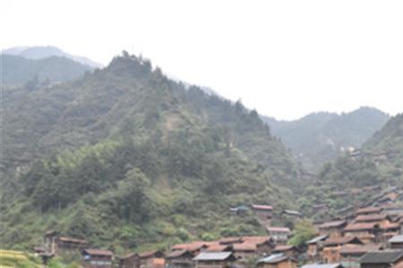 贵州大山可以放牧吗