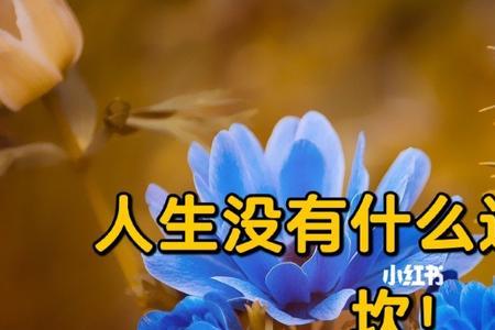 关于人生没有答案怎么理解