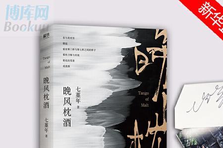 小说晚风枕酒经典语录