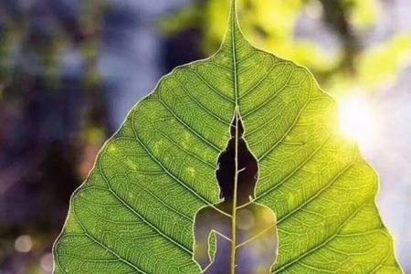 释怀的方法有两种