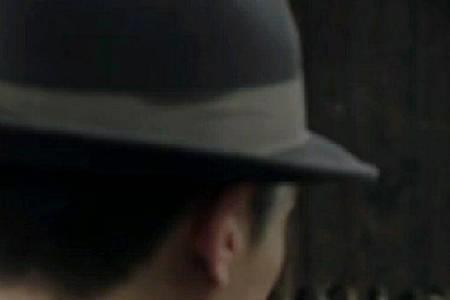 请赐我一双翅膀毛凤结局
