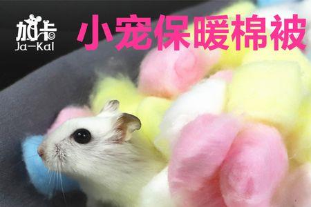仓鼠棉被用什么代替