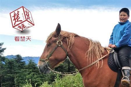 马1小时能跑多远