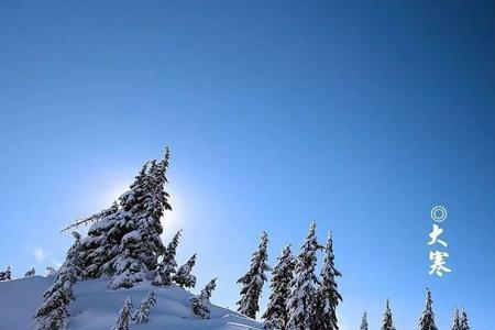天雪完整诗