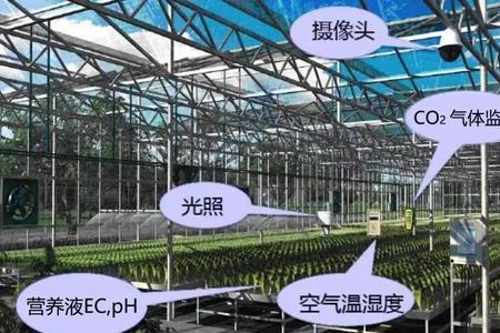未来农业最好的经营模式