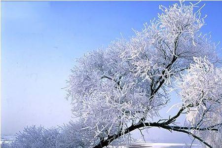 冰雪精灵雾凇的说明顺序
