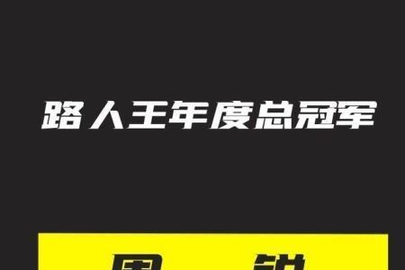 向紫龙路人王几个冠军