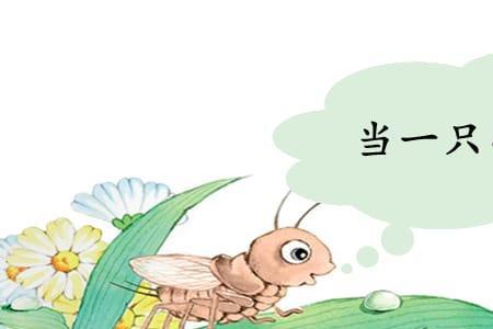 我是一只小虫子是什么昆虫