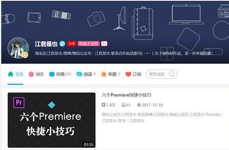 prlive怎么获取b站模型