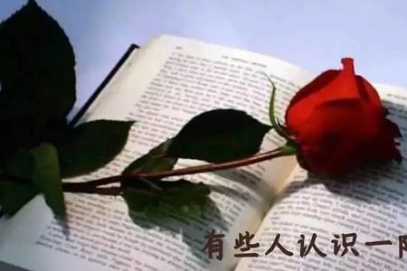 男人老了感慨的句子