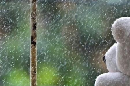 他说下雨了回不去应该怎么回复