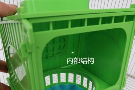 鹦鹉繁殖箱内挂还是外挂