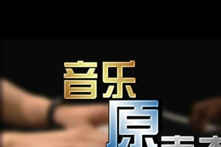 视频原声是什么意思