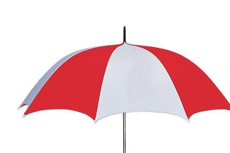 a umbrella还是an umbrella