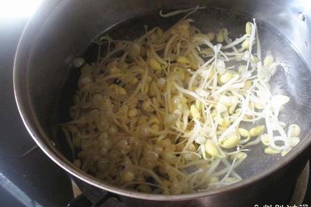 黄豆芽泡多长时间