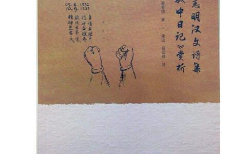 狱中诗感悟