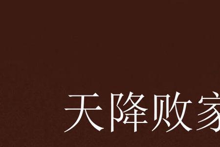 败家类的小说