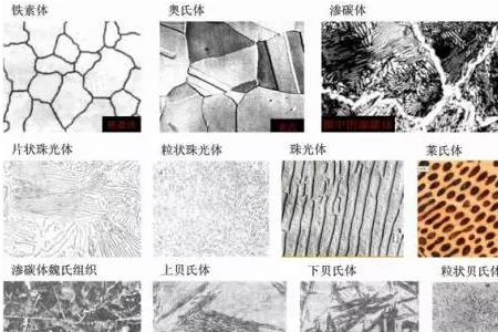 铁素体和奥氏体的区别