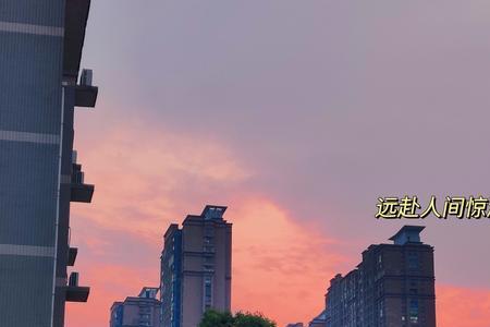 哪有人间惊鸿见的意思