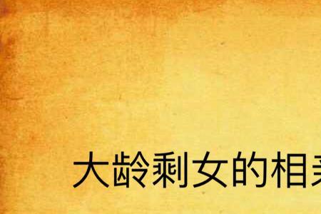 大龄剩女追婚记大结局